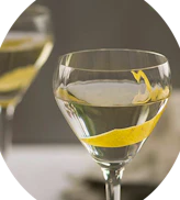 Martini & Cocktail